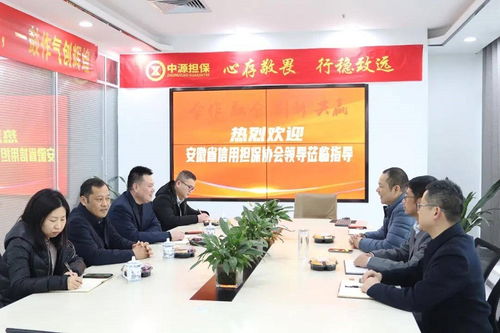 安徽省信用擔(dān)保協(xié)會領(lǐng)導(dǎo)蒞臨安徽中源融資擔(dān)保視察指導(dǎo)