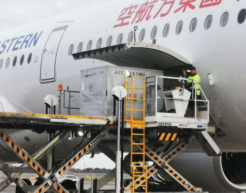 醫療物資風波 地緣博弈下的供應鏈變局